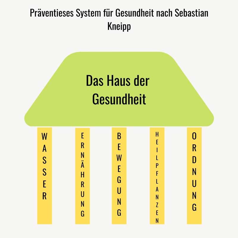 Die Entwicklung von Künstlicher Intelligenz: Chancen, Herausforderungen und Auswirkungen